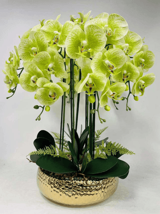 Orchids Arrangements - DesignedBy The Boss