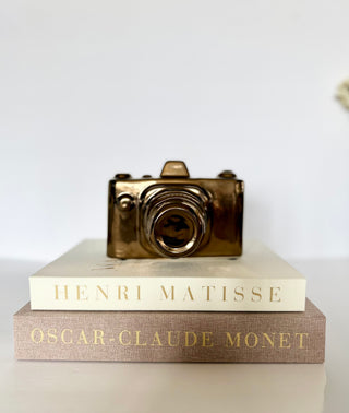 Set of 2 Decorative Open Books - Faux Storage Books + 1 Decorative Ceramic Camera Sculpture