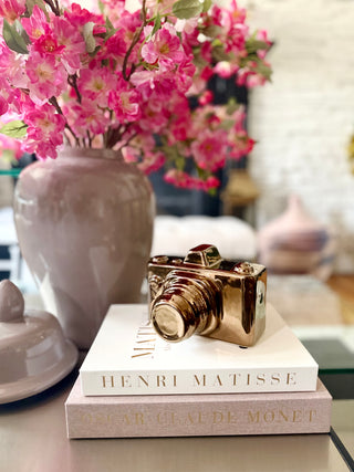 Set of 2 Decorative Open Books - Faux Storage Books + 1 Decorative Ceramic Camera Sculpture