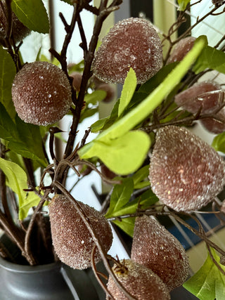 Artificial Crystal Ice Plastic Fig Branch ( High Quality) Pack Of 3