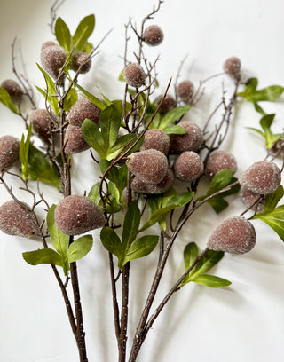 Artificial Crystal Ice Plastic Fig Branch ( High Quality) Pack Of 3