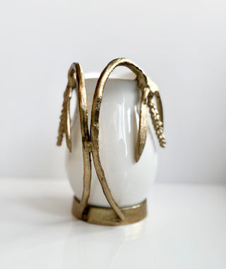 White & Gold Ceramic Pitcher