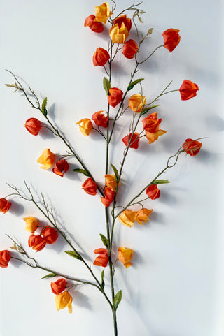 Multi Color Lantern Branch