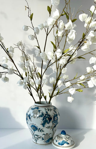 White Lantern Branch