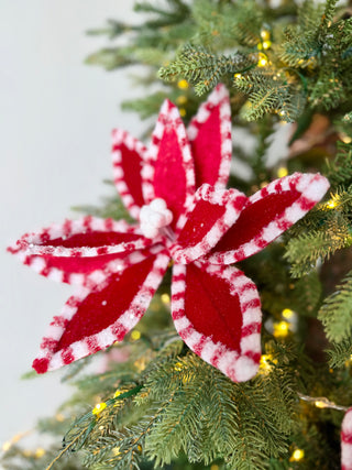 Red and White Velvet Poinsettia with Peppermint Border, 22" tall Christmas Pick - Decor