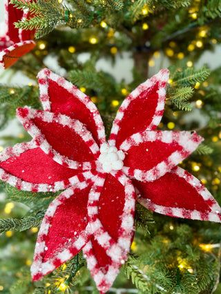 Red and White Velvet Poinsettia with Peppermint Border, 22" tall Christmas Pick - Decor