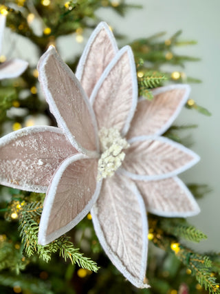 Pink Poinsettia Stem 24"Tall