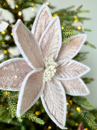 Pink Poinsettia Stem 24"Tall