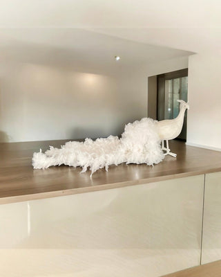 Big White Majestic Peacock With Real Goose Feather, High Quality - DesignedBy The Boss