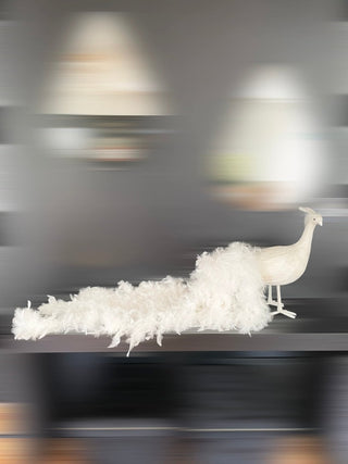 Big White Majestic Peacock With Real Goose Feather, High Quality - DesignedBy The Boss