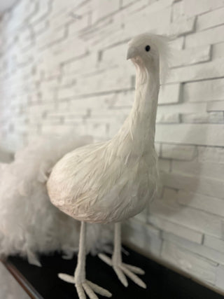 Big White Majestic Peacock With Real Goose Feather, High Quality By Designed By The Boss - DesignedBy The Boss