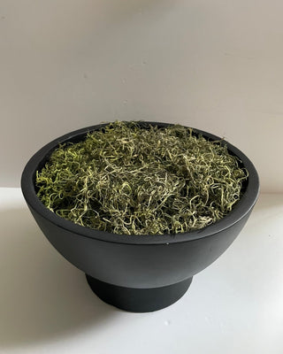 Black Bowl With Greenery Filler - DesignedBy The Boss