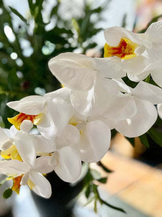 Cream White Or Pink Fake Blooming Phalaenopsis Orchid (4 Pcs) - DesignedBy The Boss