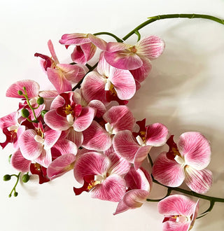 Cream White Or Pink Fake Blooming Phalaenopsis Orchid (4 Pcs) - DesignedBy The Boss