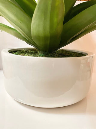 Extra Large Potted Faux Agave Plant in Ceramic Pot ~ Artificial Succulent Plant Aloe Vera Fake Plant - DesignedBy The Boss