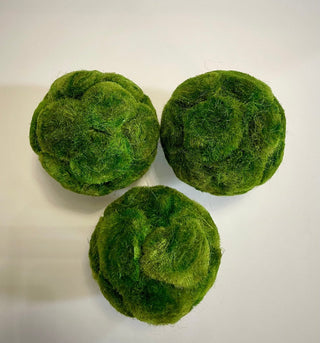 Flocked Preserved Natural Moss Ball Vase Fillers (Set of 3) - DesignedBy The Boss