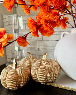 Glam Fall Decorative Pumpkin For Fall Decor - Fall Harvest By Designed By The Boss - DesignedBy The Boss