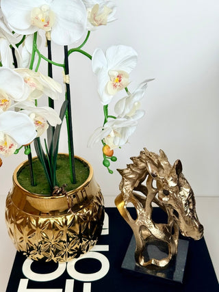 Gold Horse Head Statue on A Black Marble Base - DesignedBy The Boss