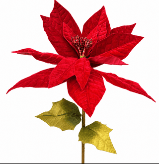 Luxury Red Velvet Poinsettia Christmas Stem- Tall - DesignedBy The Boss