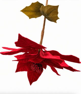 Luxury Red Velvet Poinsettia Christmas Stem- Tall - DesignedBy The Boss