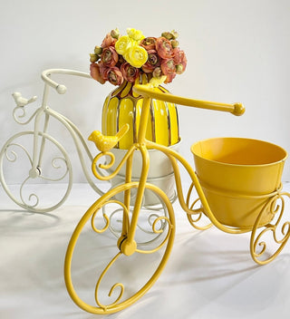 Metal Decorative Tricycle Planter - DesignedBy The Boss