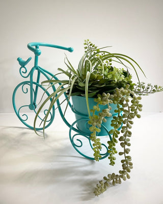 Metal Decorative Tricycle Planter - DesignedBy The Boss