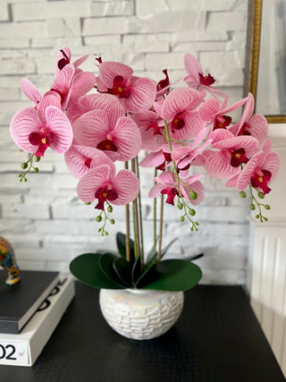 Real Touch Phalaenopsis Orchid Arrangement - DesignedBy The Boss