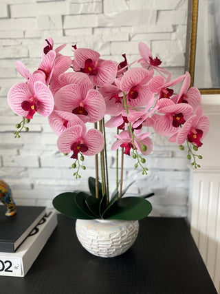 Real Touch Phalaenopsis Orchid Arrangement - DesignedBy The Boss