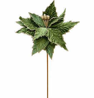 Tall Velvet Green Poinsettia Christmas Stem with Gold Accents - DesignedBy The Boss