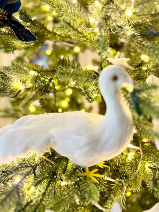 White Peacock With Real Feather, High Quality - DesignedBy The Boss