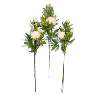 29"Real Touch Peony Stem with Bud (Set Of 3) - DesignedBy The Boss