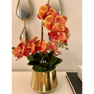 3-Stem Orchids Arrangement in Gold Planter - DesignedBy The Boss