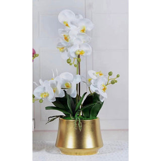 3-Stem Orchids Arrangement in Gold Planter - DesignedBy The Boss