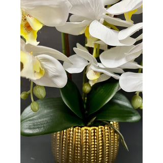 3 stems White Orchids Arrangement in A Gold Pot - DesignedBy The Boss