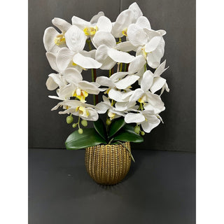 3 stems White Orchids Arrangement in A Gold Pot - DesignedBy The Boss