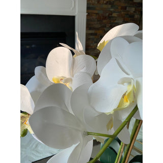 3 stems White Orchids Flower Arrangement in a Gold planter - DesignedBy The Boss