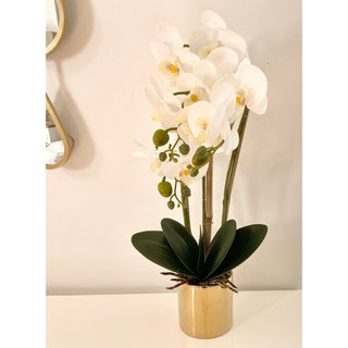 3 stems White Orchids Flower Arrangement in a Gold planter - DesignedBy The Boss