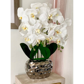 3 stems White Orchids Flower Arrangement With Silver Pot - DesignedBy The Boss