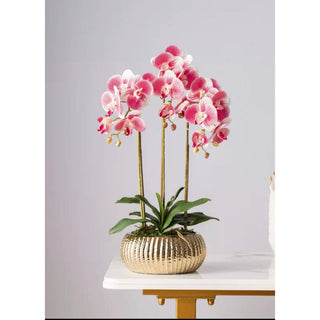 3 stems White / Pink Orchids Arrangement In Gold Pot - DesignedBy The Boss