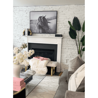 Black And White Horse Framed Canvas Wall Art - DesignedBy The Boss