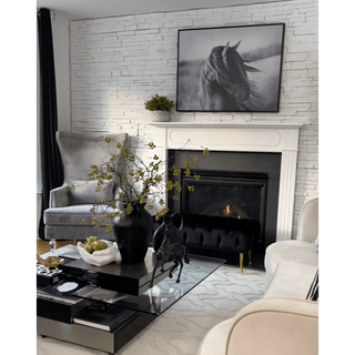 Black And White Horse Framed Canvas Wall Art - DesignedBy The Boss