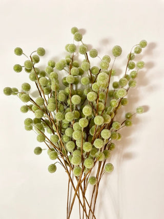Frosted Shimmer Green Berry Stems Christmas Picks - DesignedBy The Boss