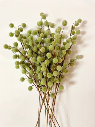 Frosted Shimmer Green Berry Stems Christmas Picks - DesignedBy The Boss