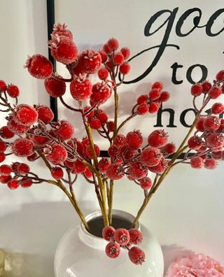 Gilded Frosted Red Berry Stems - DesignedBy The Boss