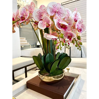 Multiple Stems of Phalaenopsis Orchid Floral Arrangement in Gold Planter - DesignedBy The Boss