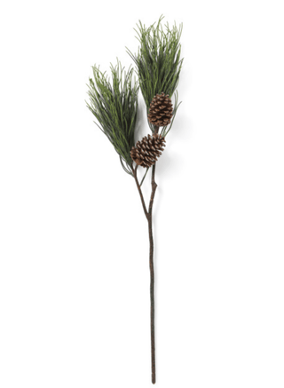 Pine Branch With Pine Cones - DesignedBy The Boss