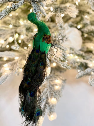 Real Feather Peacock, Christmas Tree Decorations - DesignedBy The Boss