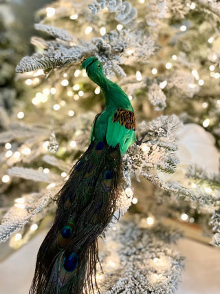 Real Feather Peacock, Christmas Tree Decorations - DesignedBy The Boss
