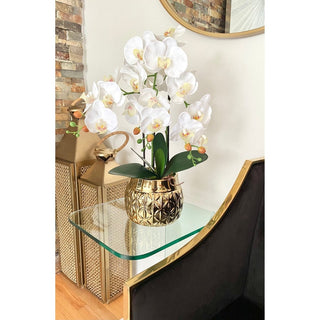 Real Touch Artificial Phalaenopsis Arrangement In A stunning Ceramic Pot (3 stems ) - DesignedBy The Boss