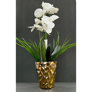 Real Touch Artificial Phalaenopsis Arrangement In Resin Pot - DesignedBy The Boss